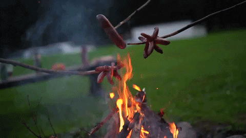 Roasted hotdogs over campfire. 