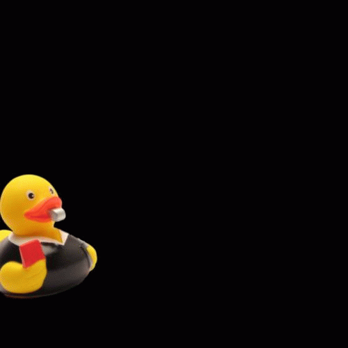 Rubber Ducky GIFs Find & Share on GIPHY
