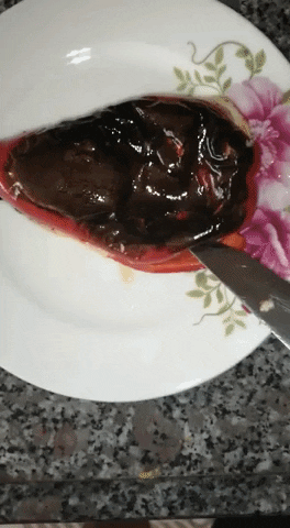 giphy.gif