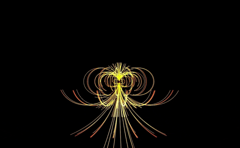 Fisica Gifs Get The Best Gif On Giphy Fisica Gifs Get The Best Gif On Giphy