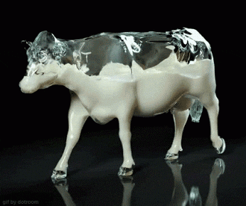 sapi perah lucu, sapi perah animasi bergerak, animasi bergerak sapi perah, gambar sapi perah lucu