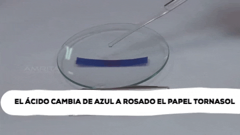 Acido Tornasol Ph GIF - Find & Share on GIPHY