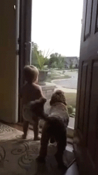 Daddy Coming Home – Funny Animated GIF
