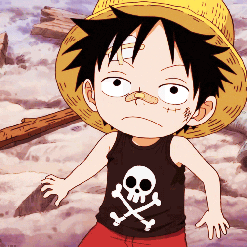 One Piece GIF - Find & Share on GIPHY
