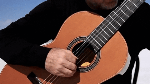 Guitar GIF - Find & Share on GIPHY