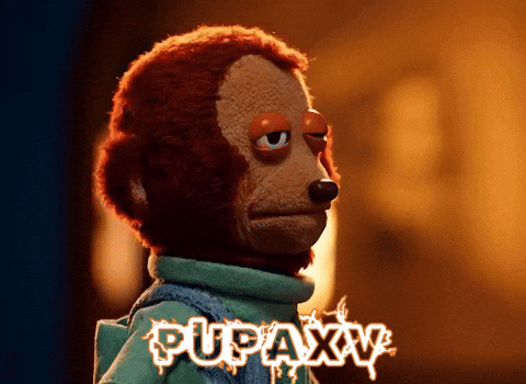 Monkey Puppet Reaction
