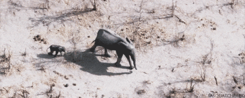 Planet Earth Oops GIF