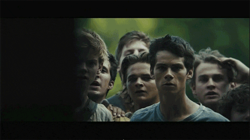 Image result for maze runner gif