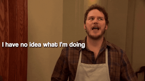 Andy Dwyer, a character from Parks and Rec, says "I have no idea what I'm doing, but I know I'm doing it really really well"