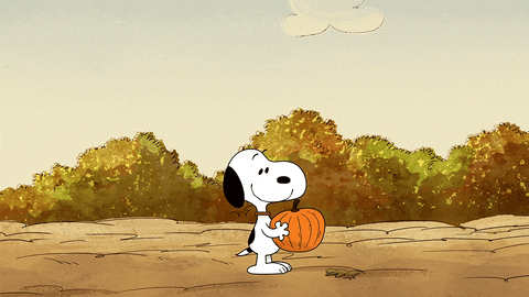 Happy Fall Season GIF by Peanuts