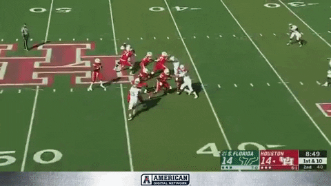 Houston Football GIF