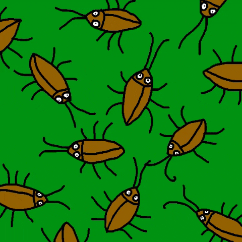 giphy bug squish