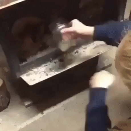 From bad to worse in fail gifs