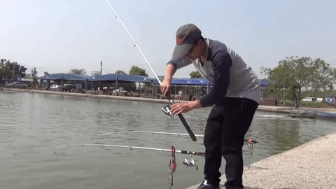 Oxlo™ Smart Spring Fish Catcher