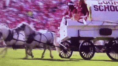 giphy-downsized.gif