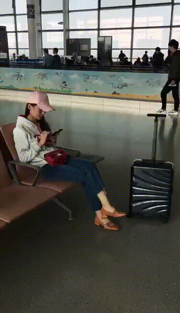 Bag Luggage GIF - Find & Share on GIPHY