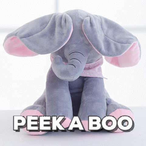 Peek-A-Boo Elephant or Teddy Bear - Save up to 78% | Pigsback.com