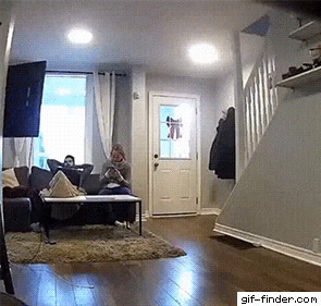 Here i come hooman in funny gifs