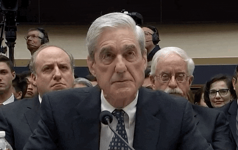 Mueller Hearings GIF - Find & Share on GIPHY