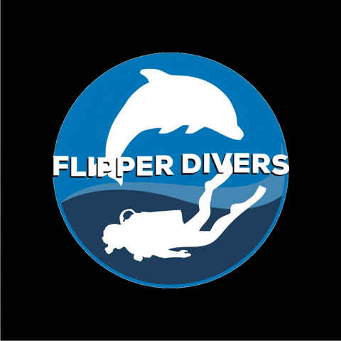Dive Scubadive GIF by Flipper
