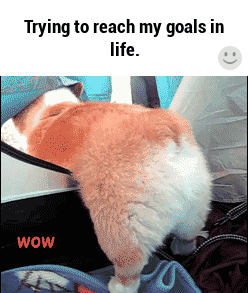 life photo to gif life photo to gif
