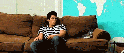 Cat Copycat GIF