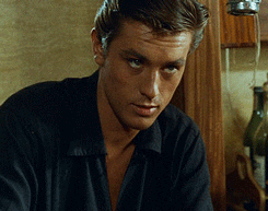 Alain Delon Face Appreciation GIF - Find & Share on GIPHY
