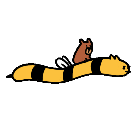 Catino