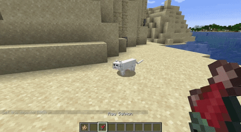 Taming a Stray Cat in Minecraft
