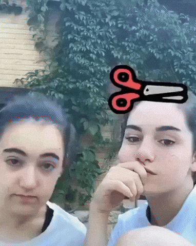 giphy.gif