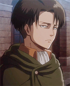 Levi GIF - Find & Share on GIPHY