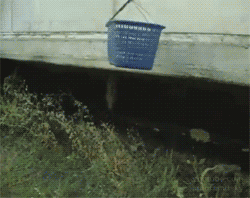 https://media.giphy.com/media/WN2DVB4z7Lhf2/giphy.gif
