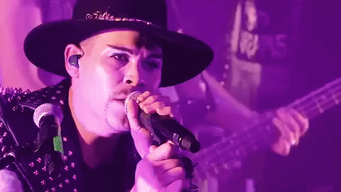 Love To Live Dreams The Band Gif By Dreams Find Share On - 