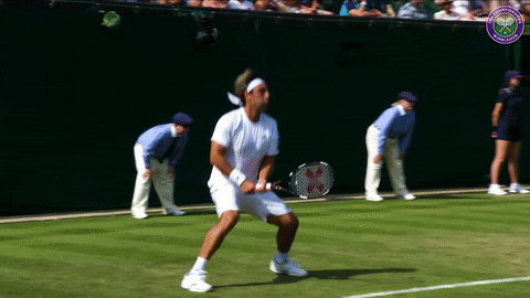 Image result for wimbledon gif