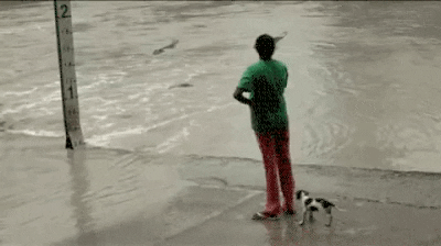 Most fearful thing ever in funny gifs