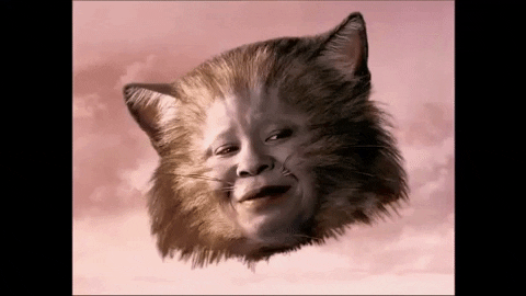 SECRET SANTA ▿ Cat Cheshire & Godefroy G. Zilla Giphy