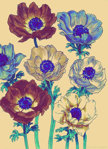 cock magic flowers gif cock magic flowers gif