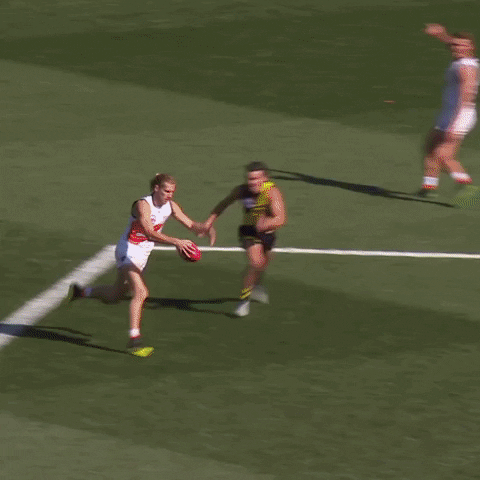 2019 Premiership gifs / avatars | Page 2 | BigFooty Forum