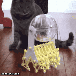 https://media.giphy.com/media/WQmh1WhhaLphS/giphy.gif