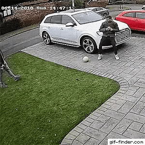 Lets sit on car in fail gifs