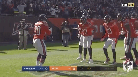 chicago bear touchdown gif chicago bear touchdown gif