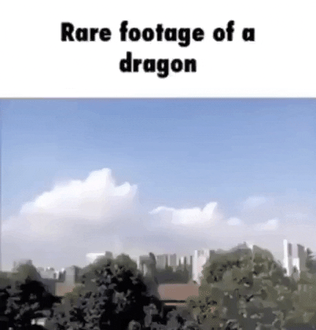 A rare footage of a dragon in funny gifs