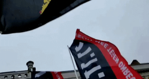 Brabant GIF - Find & Share on GIPHY