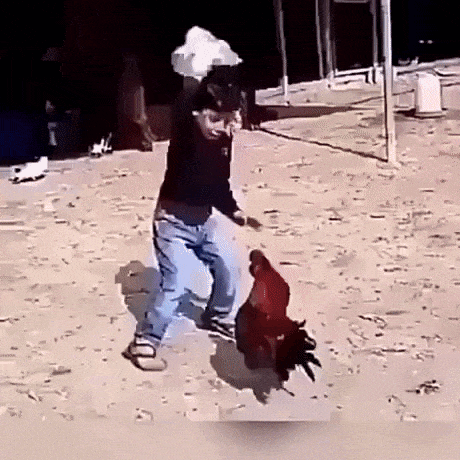 You messed with wrong one kiddo in funny gifs