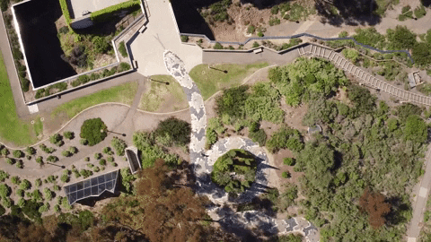UC San Diego GIF