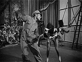 Image result for dancing gif