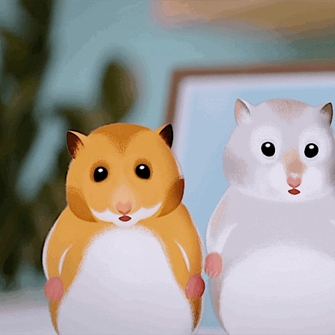 giphy.gif