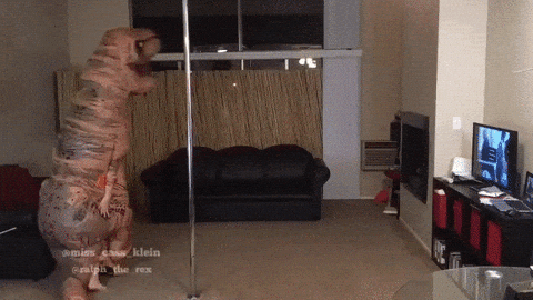 Cassidy GIFs - Find & Share on GIPHY