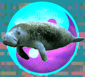 Los Angeles Manatee GIF - Find & Share on GIPHY