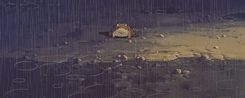 [RP Libre] Il pleut, il mouille, c'est la fête à la grenouille ! Giphy